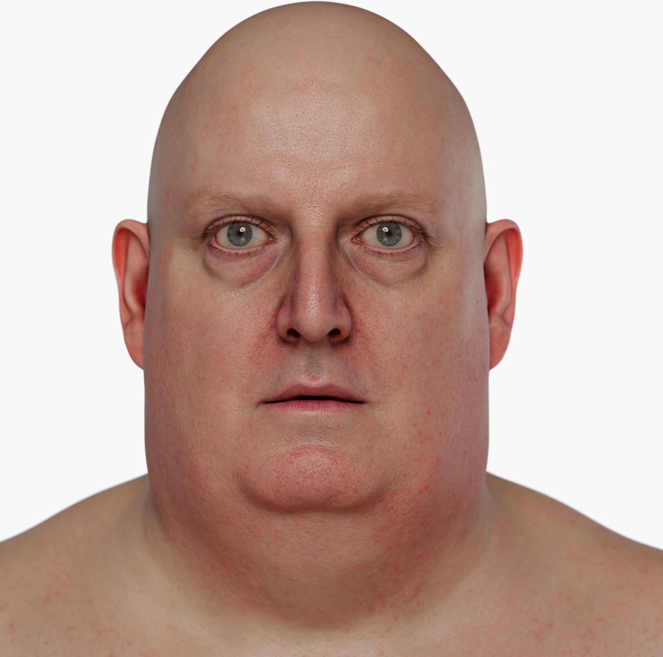 High-resolution 3D head scan of a mature heavy-set male with strong jaw and rounded facial features, detailed skin texture